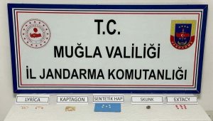 Muğla'nın 9 ilçesindeki uyuşturucu operasyonunda 19 gözaltı