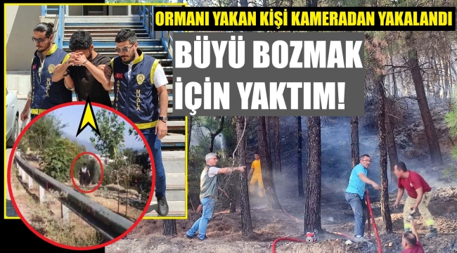 Orman yangını şüphelisi: Büyü bozmak için yaktım