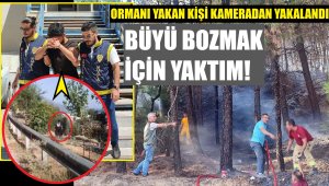 Orman yangını şüphelisi: Büyü bozmak için yaktım