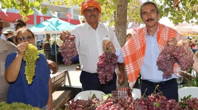 Urla'da bağ bozumu zamanı