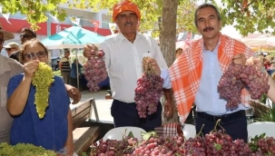 Urla'da bağ bozumu zamanı