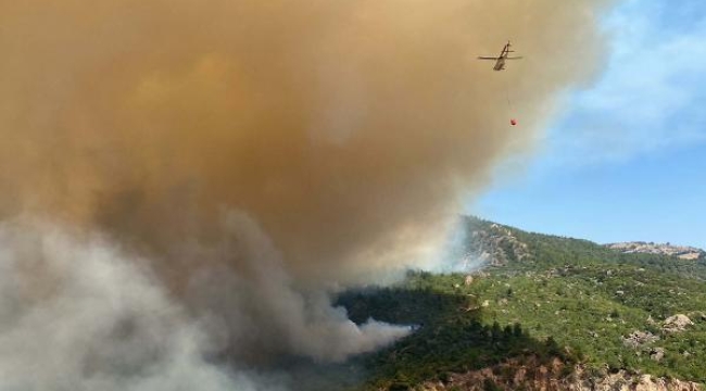 Çanakkale'de çıkan orman yangınına müdahaleler sürüyor