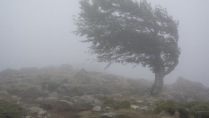 Yeni haftada rüzgar kendini gösterecek