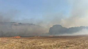 Balıkesir'de tarım arazisinde yangın