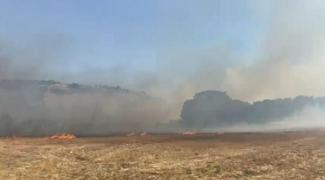 Balıkesir'de tarım arazisinde yangın