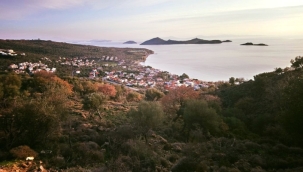 Başkan sata sata bitiremedi! 17 arsa daha satıyor