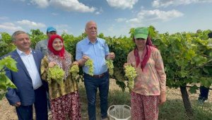 Bayraktar: Türkiye, dünyada kuru üzüm üretiminde 1'inci sırada