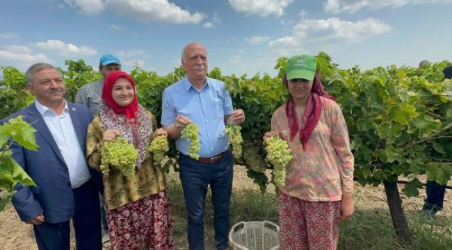 Bayraktar: Türkiye, dünyada kuru üzüm üretiminde 1'inci sırada