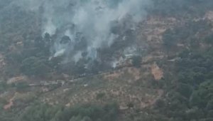 Bergama'daki yangını, 2 saatte söndürüldü