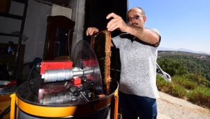 Bornova Belediyesi'nin kurduğu arılıkta bal sağımı başladı