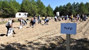 Bornova'da hareket başladı! Etkinlikler düzenlendi