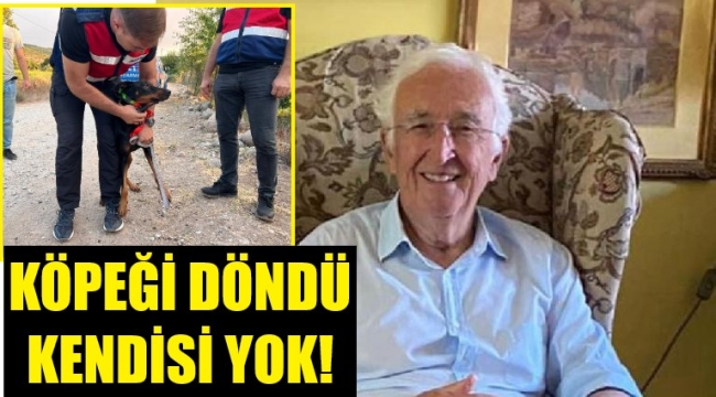 Büyük sır! Köpeği döndü kendi yok