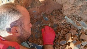 Denizli'de, 9 milyon yıl önceye ait kirpi bulundu