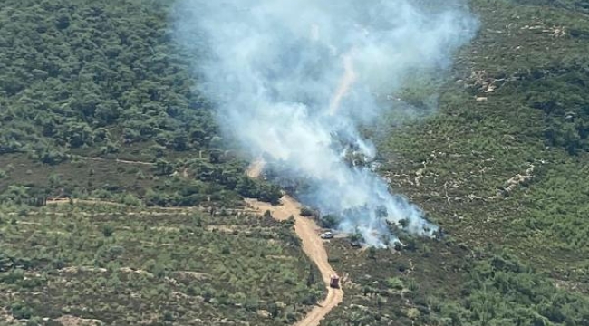 Foça'da orman yangını! 3 uçak müdahale etti
