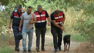 GPS takılıp aç bırakıldı, her defasında eve döndü