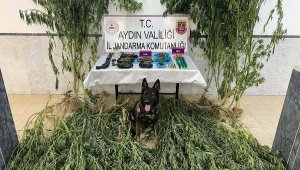 Hurda otomobildeki uyuşturucuyu Ödev, buldu