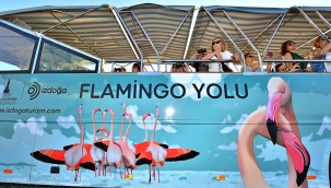 İzmir'de doğaseverler Flamingo Festivali'nde buluşacak
