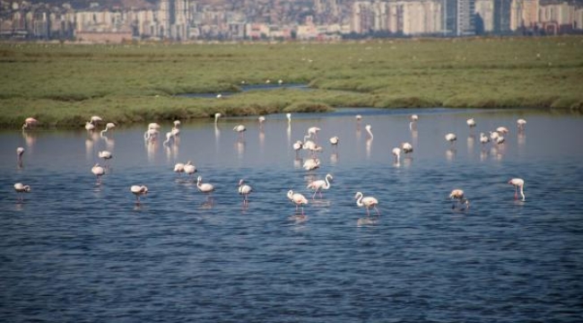 İzmir, Gediz Deltası projesiyle Ufuk Avrupa Programı'nı kazandı