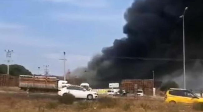 İzmir'de palet fabrikasında yangın 