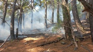 Kazdağları'nda çıkan örtü yangını büyümeden söndürüldü