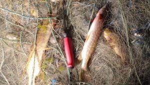 Koruma altındaki Işıklı Gölü'nde toplam 40 bin 500 metre kaçak ağ el geçirildi