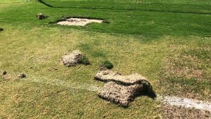 Kuşadası'nda vandallara tepki