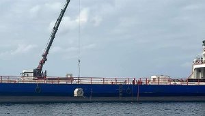 Marmara Denizi'ndeki canlı çeşitliliği yapay resiflerle artırılacak