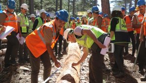 Muğla Orman Bölge Müdürlüğü'nde üretim tatbikatları başladı