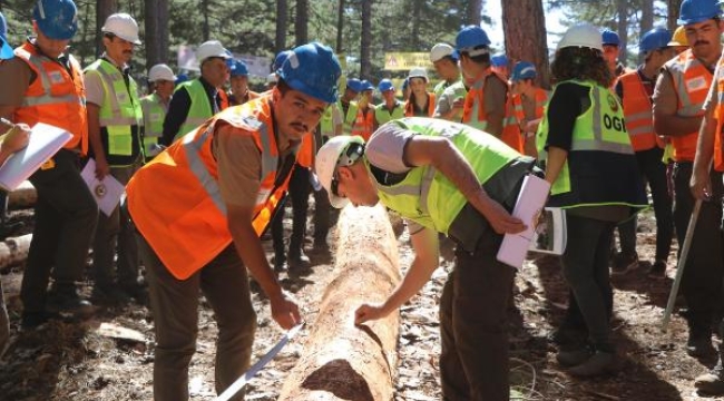 Muğla Orman Bölge Müdürlüğü'nde üretim tatbikatları başladı