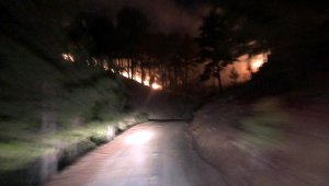 Muğla'da 3 hektar orman yandı