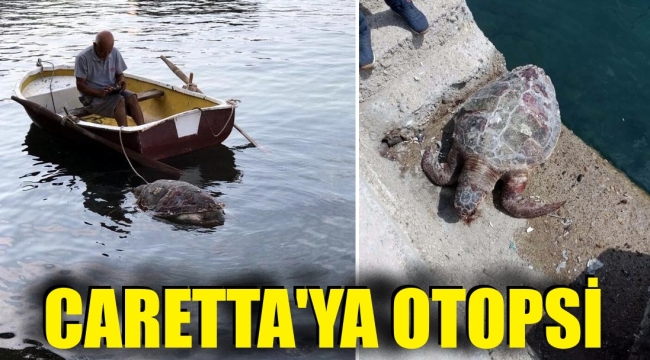 Neden öldü? Caretta'ya otopsi yapılacak