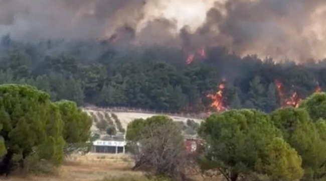 Sarnıç'ta yangın! Havaalanına uçaklar inemedi