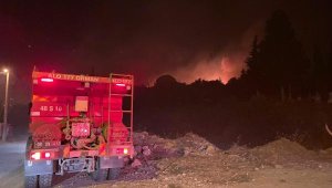 Söke'de çıkan maki yangını 2 saatte söndürüldü