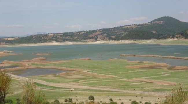Susuzluk kapıda! Bayramiç Barajı'nı besleyen dereler kurudu