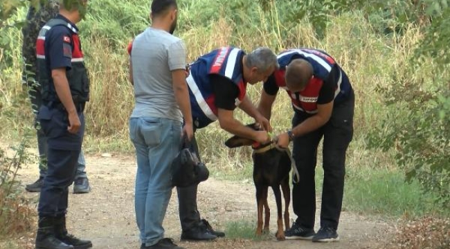 Tina, kayıp sahibini arıyor