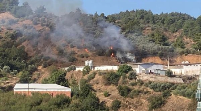 Turgutlu'da ot yangını, büyümden söndürüldü