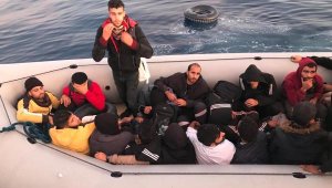 Bodrum'da 53 kaçak göçmen yakalandı