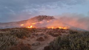 Bodrum'da 60 dönüm otluk ve makilik yandı