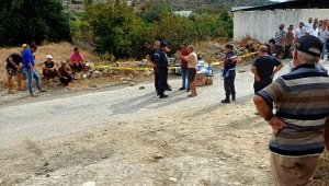 Bodrum'da kasksız ve alkollü sürücüsü öldü