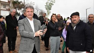 Bornova Belediyesi'nden ilçedeki çiftçilere zeytincilik eğitimi