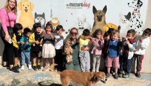 Bornova'da 8 bin 684 sokak hayvanının bakımı yapıldı