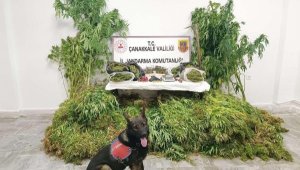 Çanakkale'de uyuşturucu operasyonu: 6 tutuklama