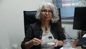 Gökçeada'da caretta caretta yuvası bulundu