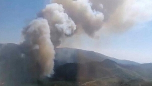 İzmir'in Karabağlar ilçesinde çıkan orman yangını, kontrol altına alındı