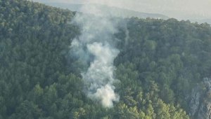 İzmir'de orman yangını 1 saatte kontrol altına alındı