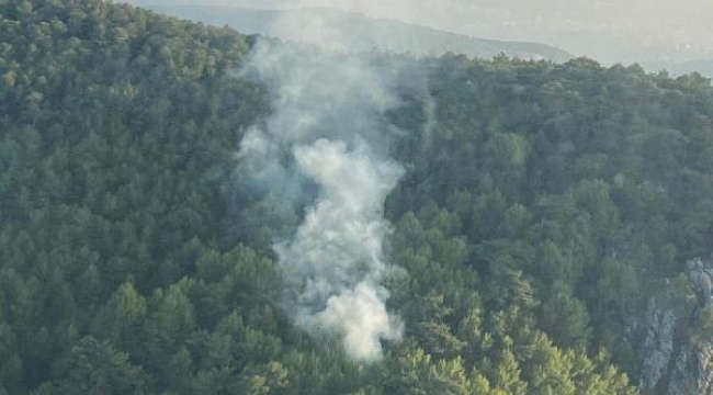 İzmir'de orman yangını 1 saatte kontrol altına alındı