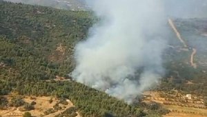İzmir'deki orman yangını kontrol altına alındı