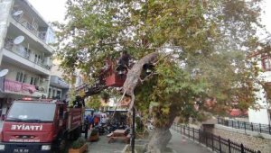 Kırılan dal direğe takıldı; olası faciadan dönüldü