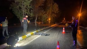 Komşu ziyaretinden dönen kadın kazada öldü