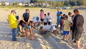 Kuşadası ve Didim'de carreta caretta yavruları denizle buluşturuldu